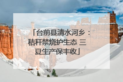 台前县清水河乡：秸秆禁烧护生态 三夏生产保丰收