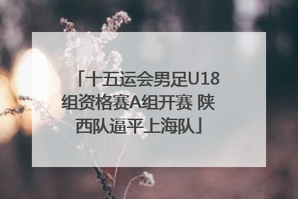 十五运会男足U18组资格赛A组开赛 陕西队逼平上海队