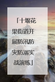 十堰花果街道开展防汛防灾防溺实战演练