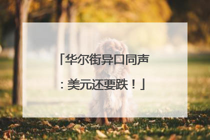 华尔街异口同声：美元还要跌！