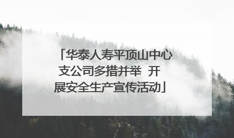 华泰人寿平顶山中心支公司多措并举  开展安全生产宣传活动