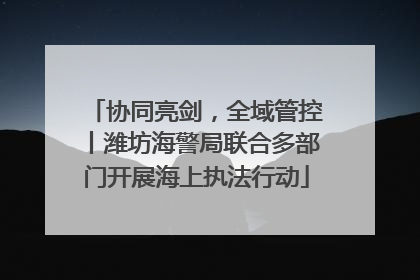 协同亮剑，全域管控丨潍坊海警局联合多部门开展海上执法行动