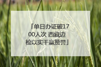单日办证破1700人次 西藏边检以实干赢赞誉