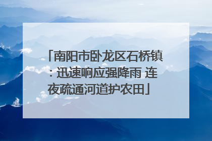 南阳市卧龙区石桥镇：迅速响应强降雨 连夜疏通河道护农田