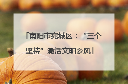 南阳市宛城区：“三个坚持”激活文明乡风