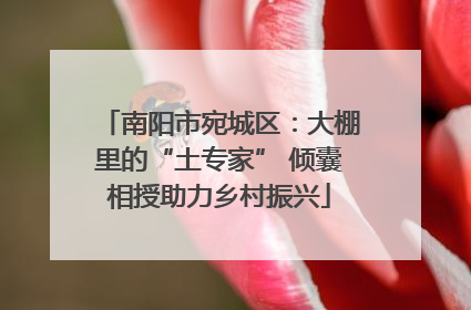 南阳市宛城区：大棚里的“土专家” 倾囊相授助力乡村振兴