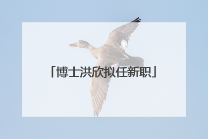 博士洪欣拟任新职