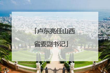 卢东亮任山西省委副书记
