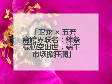 卫龙 × 五芳斋跨界联名：辣条粽横空出世，端午市场掀狂澜