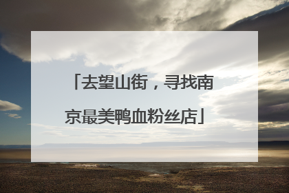 去望山街，寻找南京最美鸭血粉丝店