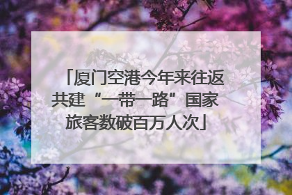 厦门空港今年来往返共建“一带一路”国家旅客数破百万人次