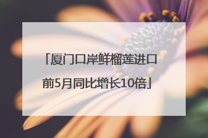 厦门口岸鲜榴莲进口 前5月同比增长10倍