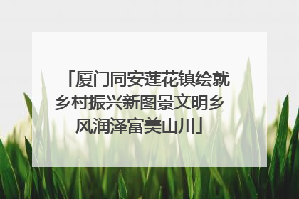 厦门同安莲花镇绘就乡村振兴新图景文明乡风润泽富美山川