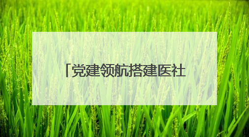 党建领航搭建医社共建平台，“红心”托起健康大民生