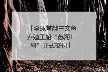 全球首艘三文鱼养殖工船“苏海1号”正式交付