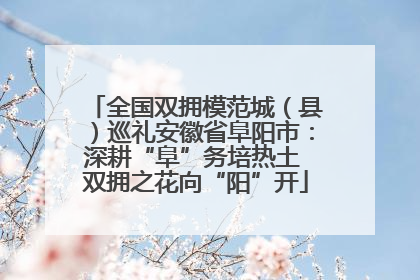 全国双拥模范城（县）巡礼安徽省阜阳市：深耕“阜”务培热土 双拥之花向“阳”开
