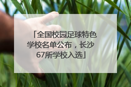 全国校园足球特色学校名单公布，长沙67所学校入选