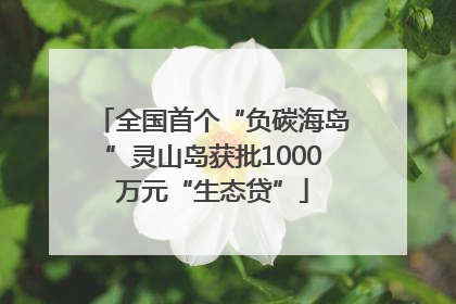 全国首个“负碳海岛”灵山岛获批1000万元“生态贷”