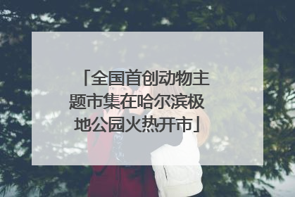 全国首创动物主题市集在哈尔滨极地公园火热开市