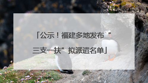 公示！福建多地发布“三支一扶”拟派遣名单