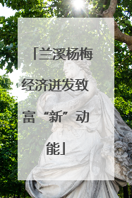兰溪杨梅经济迸发致富“新”动能