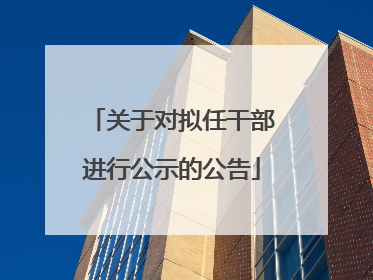 关于对拟任干部进行公示的公告