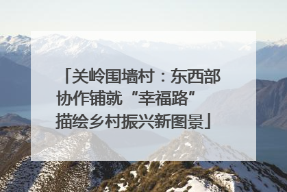 关岭围墙村：东西部协作铺就“幸福路” 描绘乡村振兴新图景