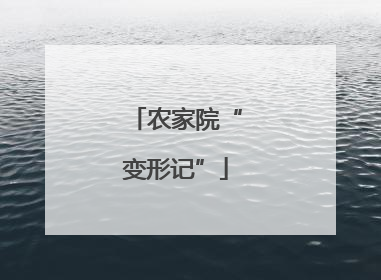 农家院“变形记”