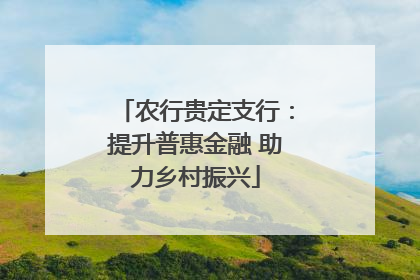 农行贵定支行：提升普惠金融 助力乡村振兴