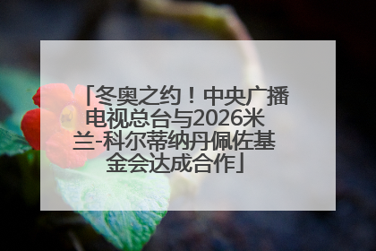 冬奥之约！中央广播电视总台与2026米兰-科尔蒂纳丹佩佐基金会达成合作