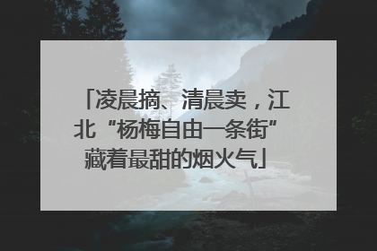 凌晨摘、清晨卖，江北“杨梅自由一条街”藏着最甜的烟火气