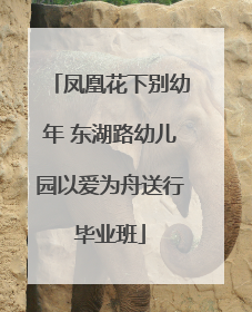 凤凰花下别幼年 东湖路幼儿园以爱为舟送行毕业班