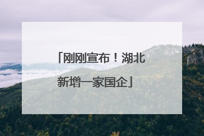 刚刚宣布！湖北新增一家国企