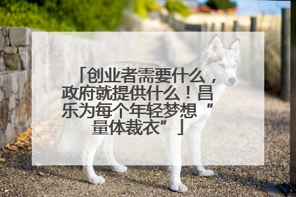 创业者需要什么，政府就提供什么！昌乐为每个年轻梦想“量体裁衣”