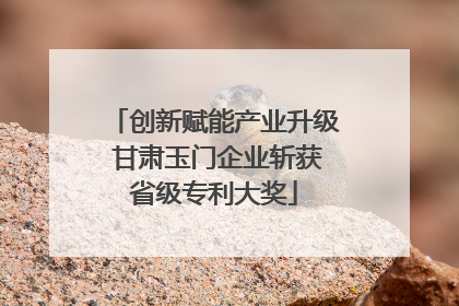 创新赋能产业升级 甘肃玉门企业斩获省级专利大奖