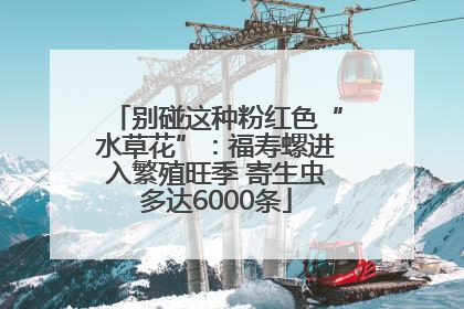 别碰这种粉红色“水草花”：福寿螺进入繁殖旺季 寄生虫多达6000条