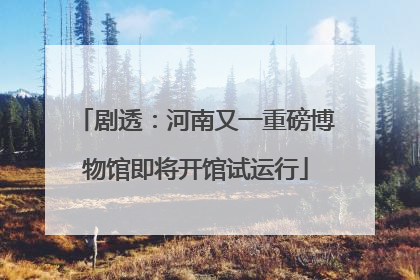 剧透：河南又一重磅博物馆即将开馆试运行