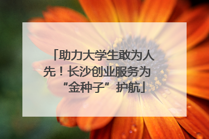 助力大学生敢为人先！长沙创业服务为“金种子”护航