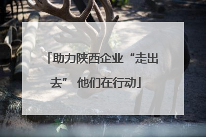 助力陕西企业“走出去” 他们在行动