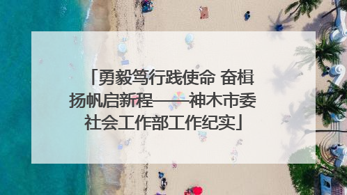 勇毅笃行践使命 奋楫扬帆启新程——神木市委社会工作部工作纪实