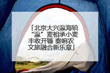 北京大兴瀛海镇“瀛”麦相承小麦丰收开镰 奏响农文旅融合新乐章
