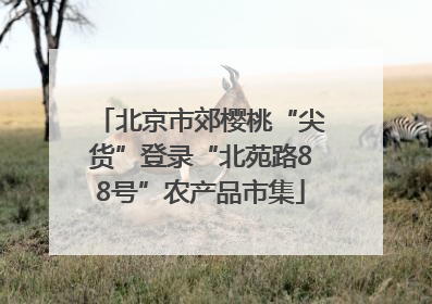 北京市郊樱桃“尖货”登录“北苑路88号”农产品市集
