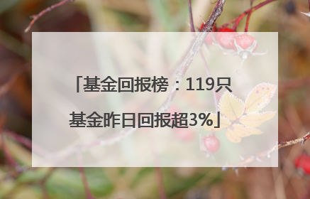 基金回报榜：119只基金昨日回报超3%
