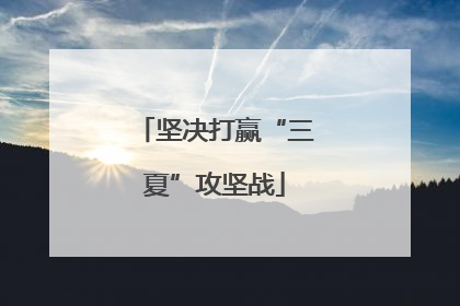坚决打赢“三夏”攻坚战