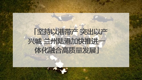 坚持以港带产 突出以产兴城 兰州陆港加快推进一体化融合高质量发展