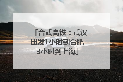 合武高铁：武汉出发1小时到合肥3小时到上海