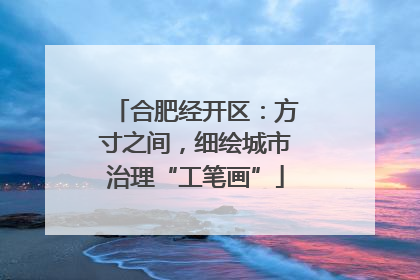 合肥经开区：方寸之间，细绘城市治理“工笔画”