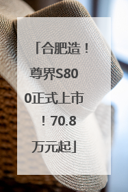 合肥造！尊界S800正式上市！70.8万元起