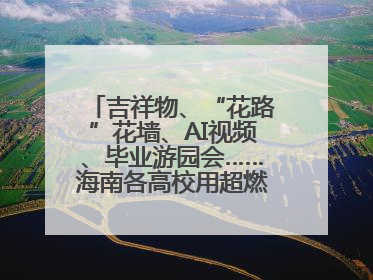 吉祥物、“花路”花墙、AI视频、毕业游园会……海南各高校用超燃仪式感为学子青春“存档”
