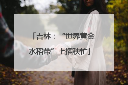 吉林：“世界黄金水稻带”上插秧忙